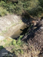 /album/vypust-rybnika-2020/img-20200903-110205-753-jpg/