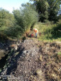 /album/vypust-rybnika-2020/img-20200903-110209-679-jpg/