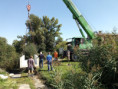 /album/vypust-rybnika-2020/img-20200903-114232-569-jpg/