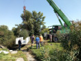 /album/vypust-rybnika-2020/img-20200903-114251-835-jpg/
