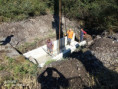 /album/vypust-rybnika-2020/img-20200903-114902-689-jpg/