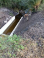 /album/vypust-rybnika-2020/img-20200906-091207-547-jpg/