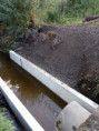 /album/vypust-rybnika-2020/img-20200906-091225-872-jpg/