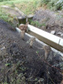 /album/vypust-rybnika-2020/img-20200906-091245-339-jpg/